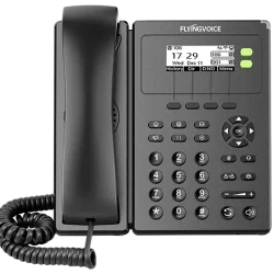 Flyingvoice Phone FIP10/FIP10P Entry-level Business IP Phone - Technology Bazar